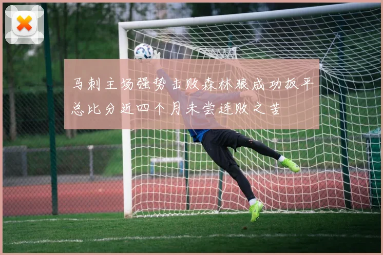 马刺主场强势击败森林狼成功扳平总比分近四个月未尝连败之苦